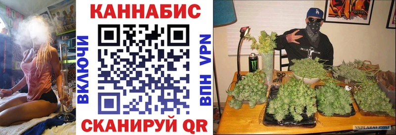 Магазины продажи наркотиков Волосово Гашиш  АМФЕТАМИН  ГЕРОИН  omg как зайти  МАРИХУАНА  Кокаин  Мефедрон 
