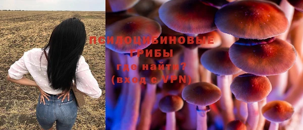 ECSTASY Сосновоборск