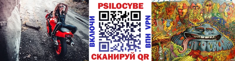 цены наркотик  Волосово  Псилоцибиновые грибы Psilocybe 